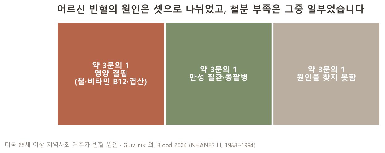 어르신 빈혈의 원인은 크게 셋으로 나뉘었고, 철분 부족은 그중 일부였습니다 (자료: Guralnik 외, Blood 2004, 미국 65세 이상 지역사회 거주자)