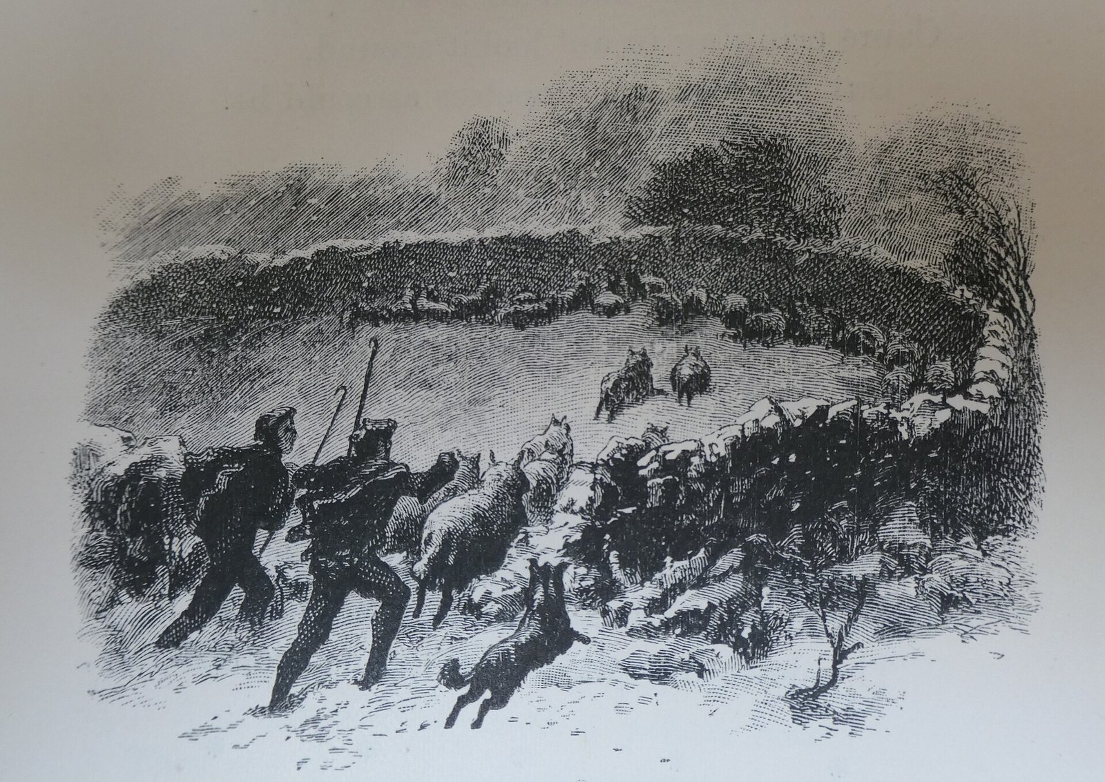 1882년 노섬벌랜드에서 눈보라 속에 양을 우리로 몰아넣는 그림입니다. 조지 머리가 일하던 뉴캐슬이 이 지방에 있습니다 (그림: William James Palmer, 퍼블릭 도메인, 위키미디어 공용)